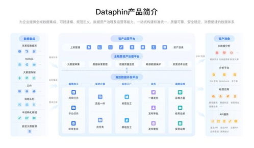 面向2025 数据战略制胜，必备数据中台系统选型与数据处理服务深度解析